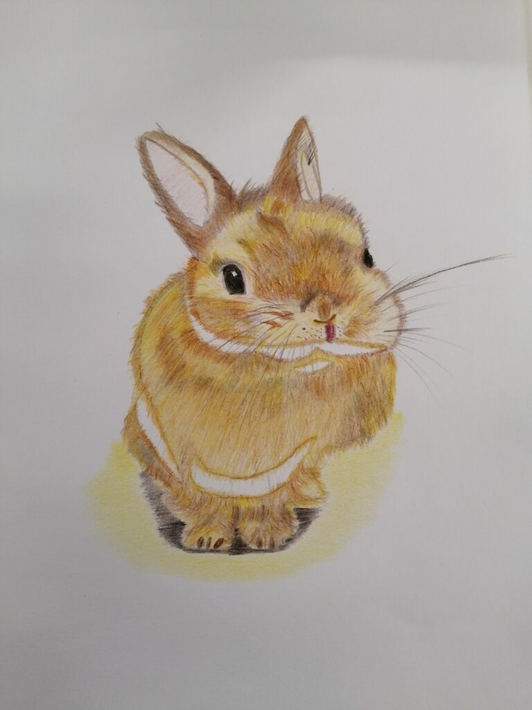 うさぎ　絵-768x1024