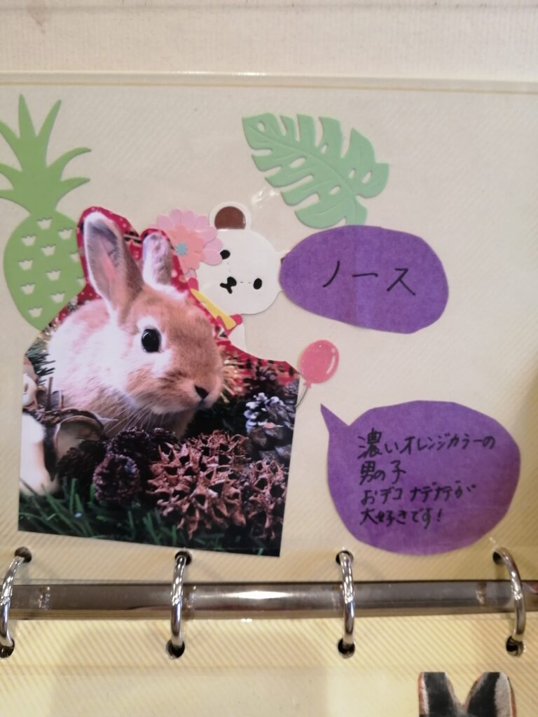 うさぎ11-768x1024