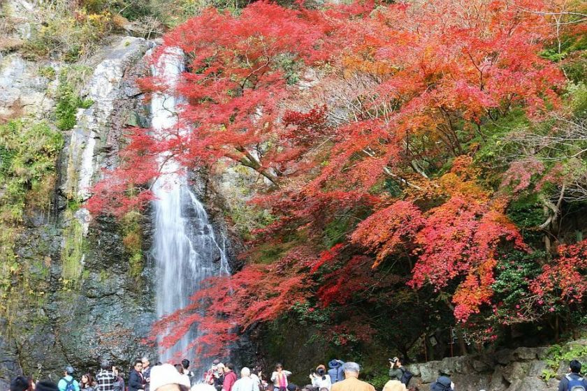 uUzvQ3lML_bkIqyakc1vFs-Knw39CLTsfp6KpenqJJAmjDiJ5LCkGFCksOoQ2oTvlIbvgG3SuABV3pwwFMmGsnd-QxZY1Pg363sEOh75vp5hCJTDCKHboGYe4NkSr227CLIUjg0BlPbDMnxmZ4c4zohUF2Vunp8gOzuBycmXrt8