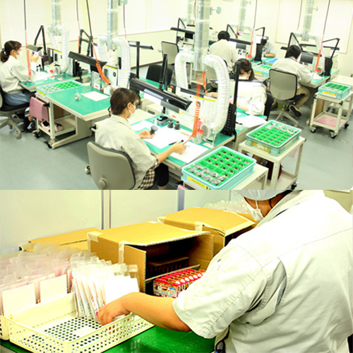 検品作業　/　封入・封緘作業