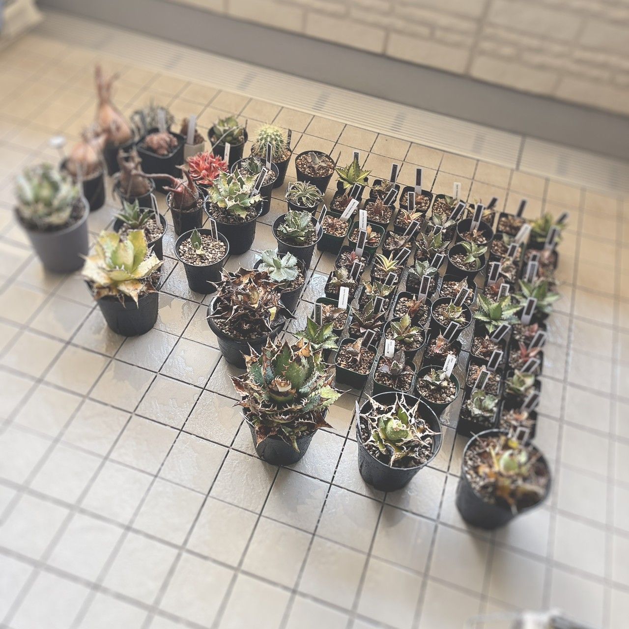 LINE_ALBUM_7月_230804